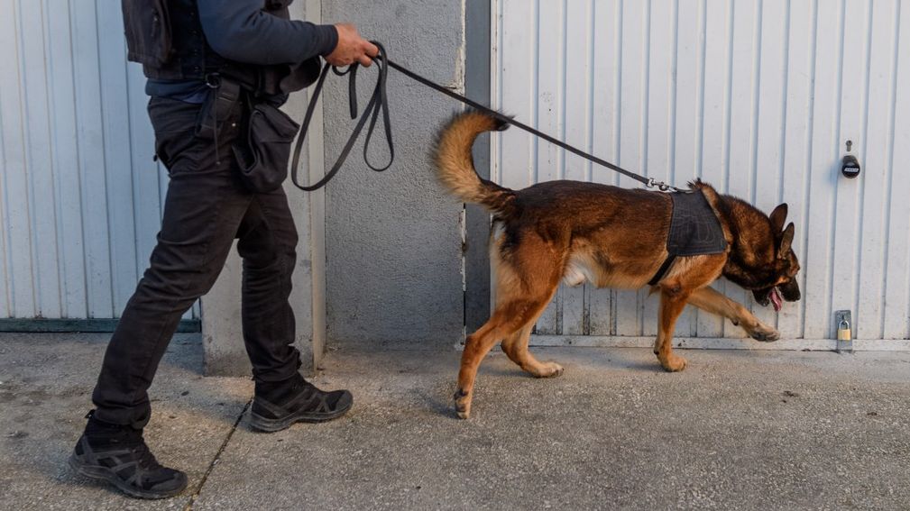 Zloděje ukrytého na záchodě chebského obchodu vyštěkal služební pes Cooper